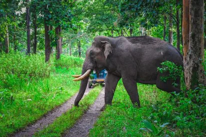 Muthanga Wildlife Sanctuary