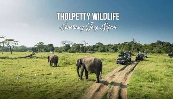 Tholpetty Wildlife Sanctuary