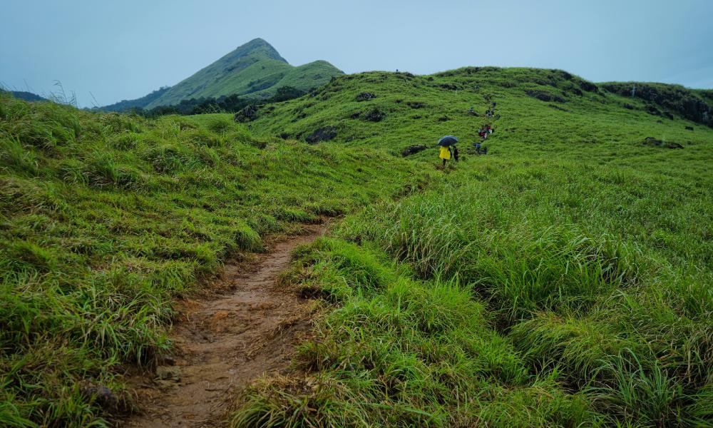 Chembra - Peak — photo 4