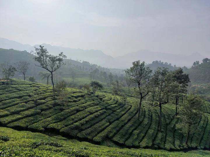 Attamala View Point — photo 2