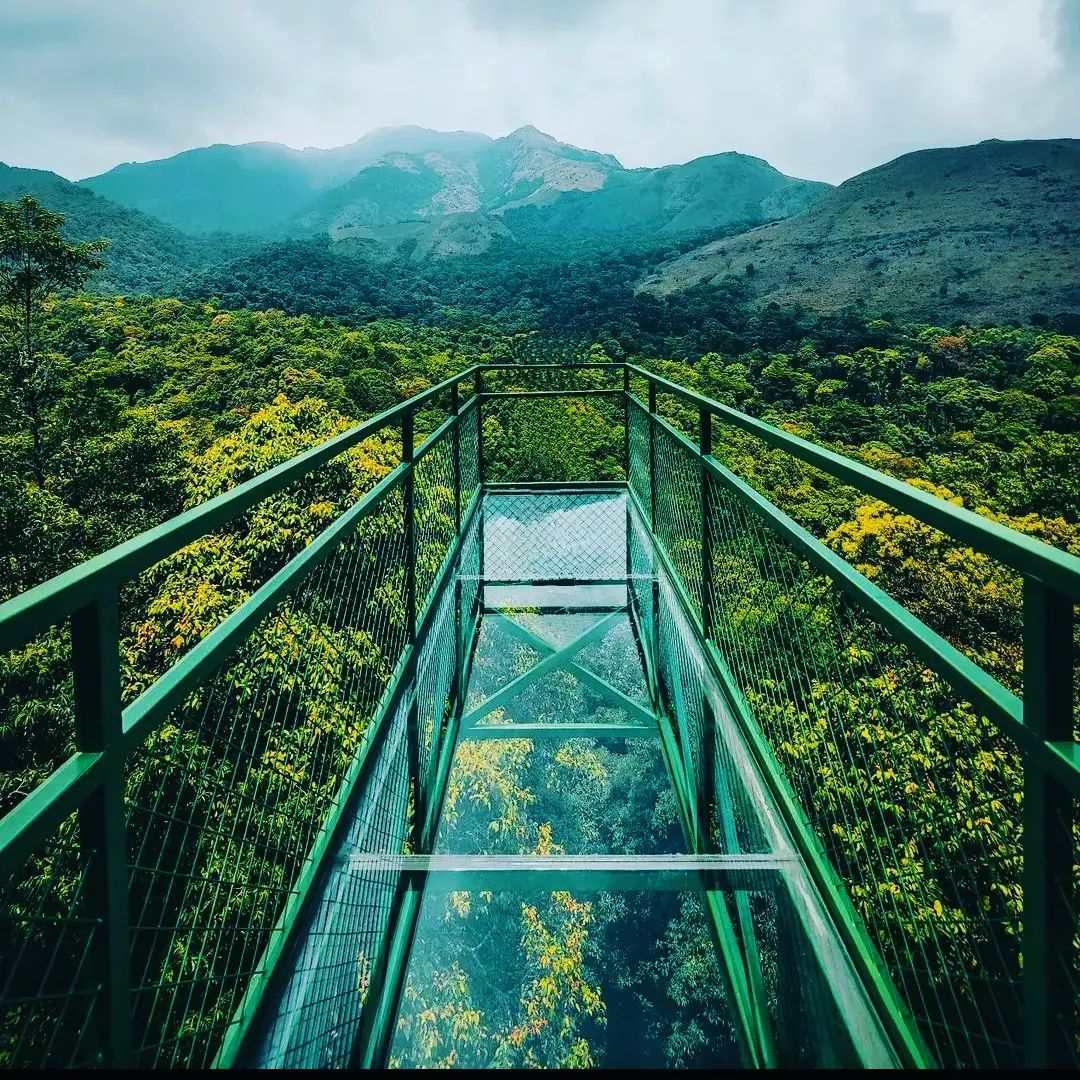 900 Kandi Eco Park — photo 3