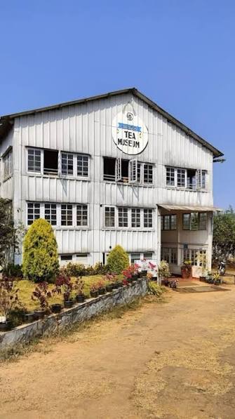 Wayanad Tea Museum — photo 4