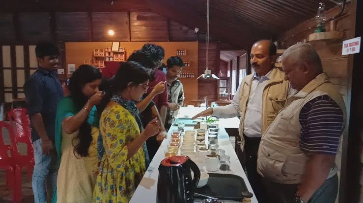 Wayanad Tea Museum — photo 3